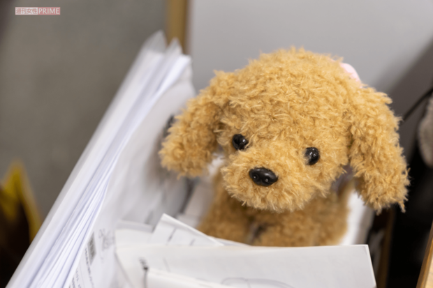 「常連出演者」である犬のぬいぐるみ