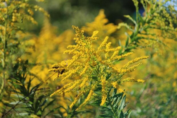 ※写真はイメージです