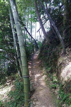  ↑事件現場となった虎尾山の山頂へと続く道は、登山道と呼んでもいいほど細く急勾配で、整備された様子はない