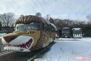 ユニークな動物バスは当分稼働できそうもない