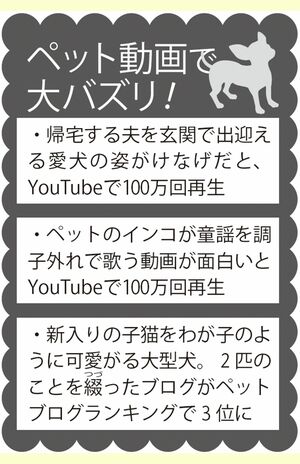 ペット動画 販売 稼げる