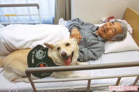 ベッドでチロリに添い寝をされてうれしそうな長谷川さん