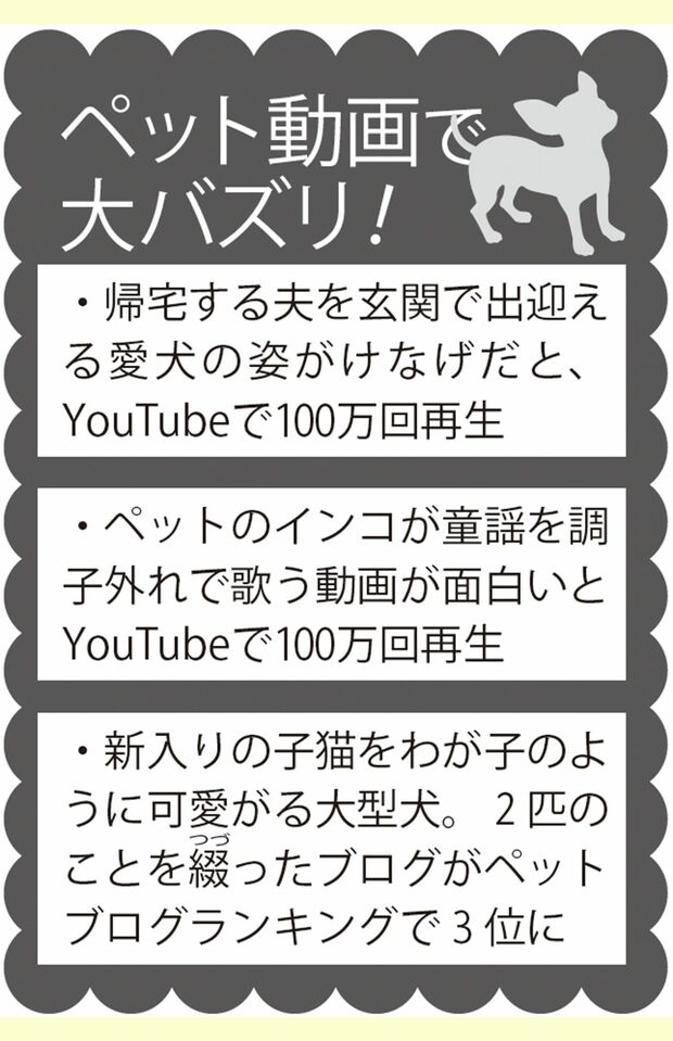 ペット動画で大バズり！