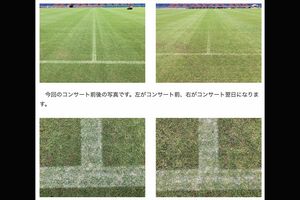 『芝生観察日記 第127話』に載っていたの比較画像(現在は削除済み)