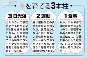骨を育てる3本柱