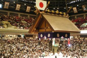 近年の相撲ブームで、連日、満員御礼の大相撲