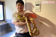 アミメニシキヘビ逃走騒動を終わらせた専門家の“天才的推理”