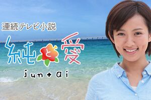 『純と愛』は、沖縄県宮古島がメインの舞台になっていた(公式ホームページより)