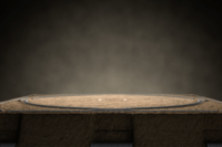 貴ノ岩のスピード引退に違和感「諸悪の根源はテレビだ」の声も聞いてほしい