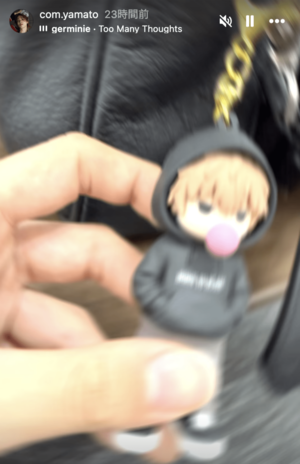 盗作と指摘のあったやまとのグッズ（公式インスタグラムより）