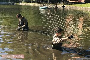 目撃ポイントの周辺をフェンスで囲った作戦勝ちか