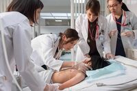 初の医者役で苦戦!白鳥久美子が捻り出した「猿、来い、ドーシス」の意味とは