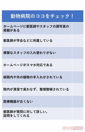 動物病院のココをチェック！