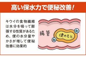 キウイの食物繊維は水分を吸って膨張する性質があるため、便の水分量やかさが増して便秘改善に効果的