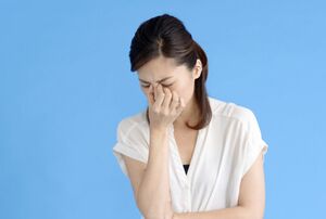 ※写真はイメージです