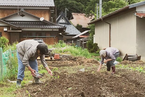 「くろまめさん」の広い敷地では季節の野菜や、産みたて卵も生産中