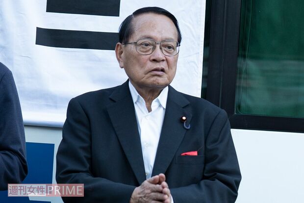 平沢勝栄元復興相