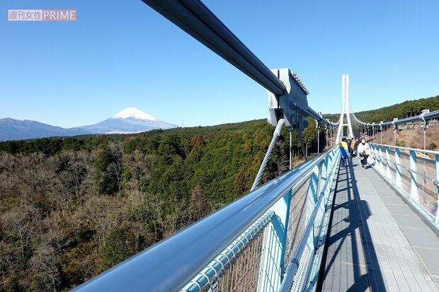 三島スカイウォーク　撮影／編集部
