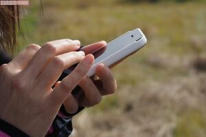 ※写真はイメージです