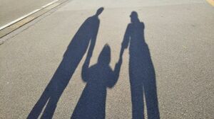 ※画像はイメージです