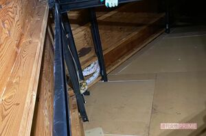 屋根裏でヘビを見つけた瞬間（協力/体感型動物園iZoo）