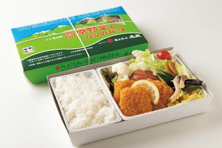 高原野菜とカツの弁当［山梨県］