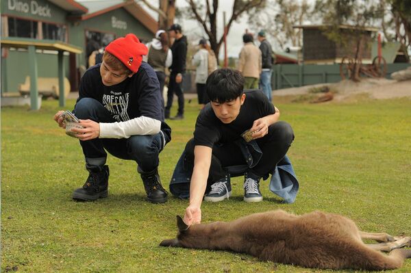 『2PM WILD BEAT~240時間完全密着!オーストラリア疾風怒濤のバイト旅行~』より Wild Beat (c)2017 IHQ media & JYP Pictures. All Rights Reserved