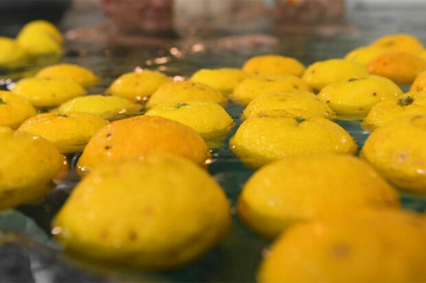 ※写真はイメージです