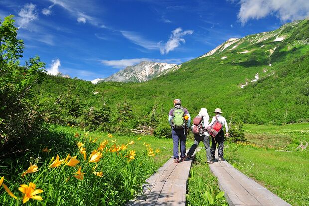 遊歩道が整備された「栂池自然園」で、高山植物や山並みを楽しむ