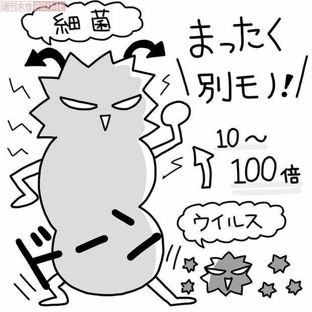 菌とウイルスの違いを知ろう イラスト／ますみかん、つのだだいすけ