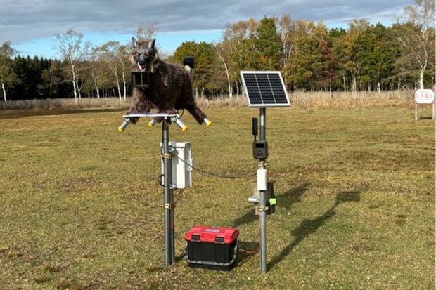 “見た目が怖すぎる”と話題の獣害対策装置「モンスターウルフ」（太田精器株式会社）