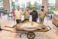 【5億円の衝撃】すしざんまい、一番マグロ奪還の裏で「解体ショー中止」の悲劇… 5連覇ストップの『なだ万…