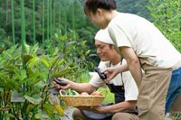 中高年がハマる「週末カジュアル農業」手ぶらで始められて収入源や健康づくりに最適、休みの日に小遣い稼ぎ…