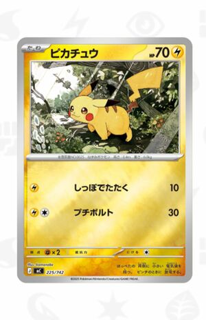 人気が高騰しているポケモンカード（ポケモンカードゲームトレーナーズウェブサイトより）