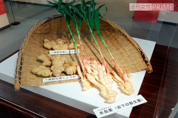 新生姜の原料は、何度も土かけを行い丁寧に育てる台湾の本島姜