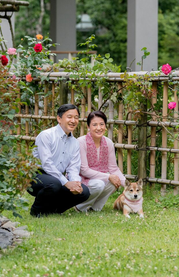 写真／宮内庁  東宮御所のバラが咲くお庭で愛犬の由莉と