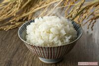 「糖質カット」炊飯器、人気2商品の“おいしさ”“使い勝手”を忖度ナシでガチ検証!