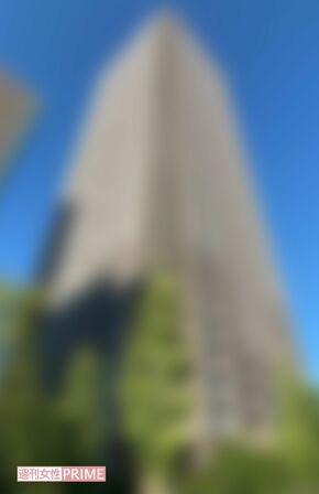 都内の高層マンションで優雅な生活を送っていた（画像は編集部で一部加工）