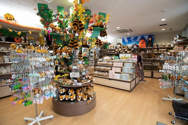 ぬいぐるみにポストカードなどレッサーパンダグッズが盛りだくさん