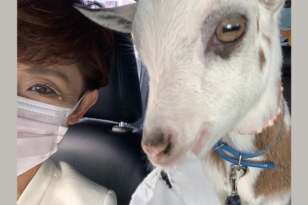 鎌田さゆり氏とメリー（ツイッターより）