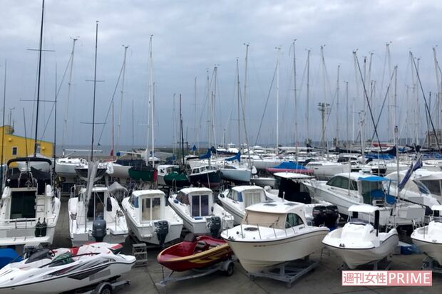 かつてはこのマリーナで活躍していたが……