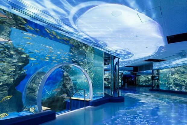 『のとじま臨海公園水族館（のとじま水族館）』公式HPより