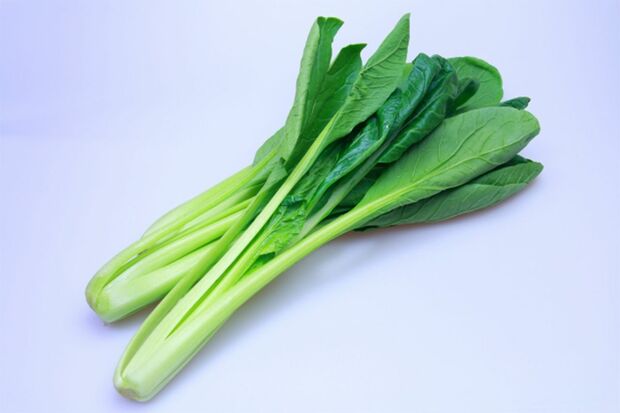 ※写真はイメージです