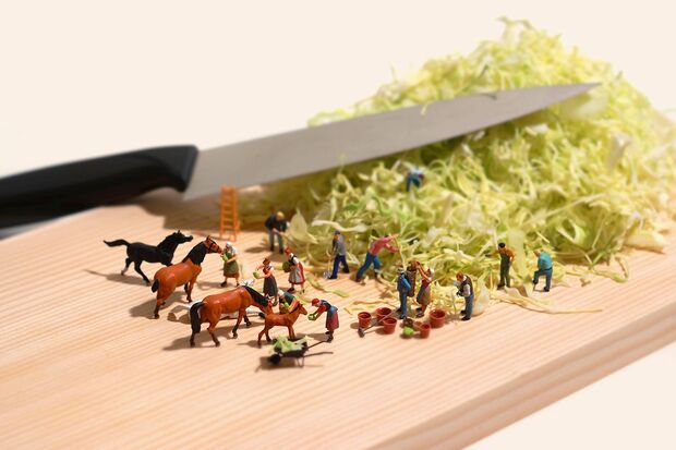 「キャベツの千切り一年分」（C）Tanaka Tatsuya（MINIATURE CALENDAR）