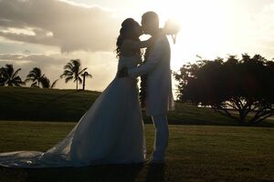 写真はイメージです