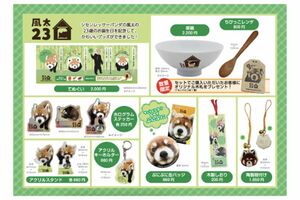 風太くん23歳お誕生日記念、限定グッズ(市川市動物公園公式HPより)