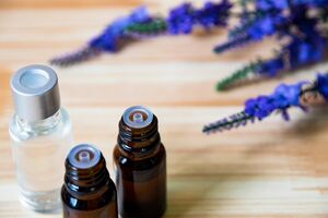 ※画像はイメージです