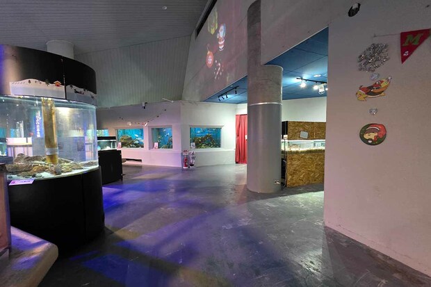 クリスマスイヴなのに貸切状態の館内　写真提供／桂浜水族館