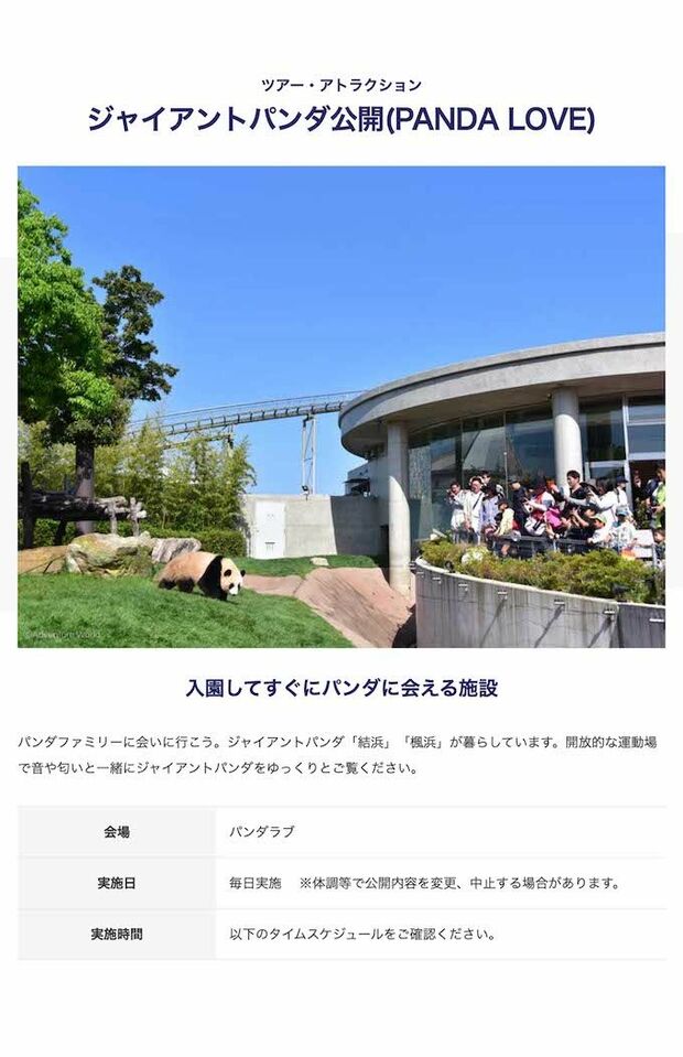 アドベンチャーワールドで開催されているパンダのツアー・アトラクション(公式サイトより)