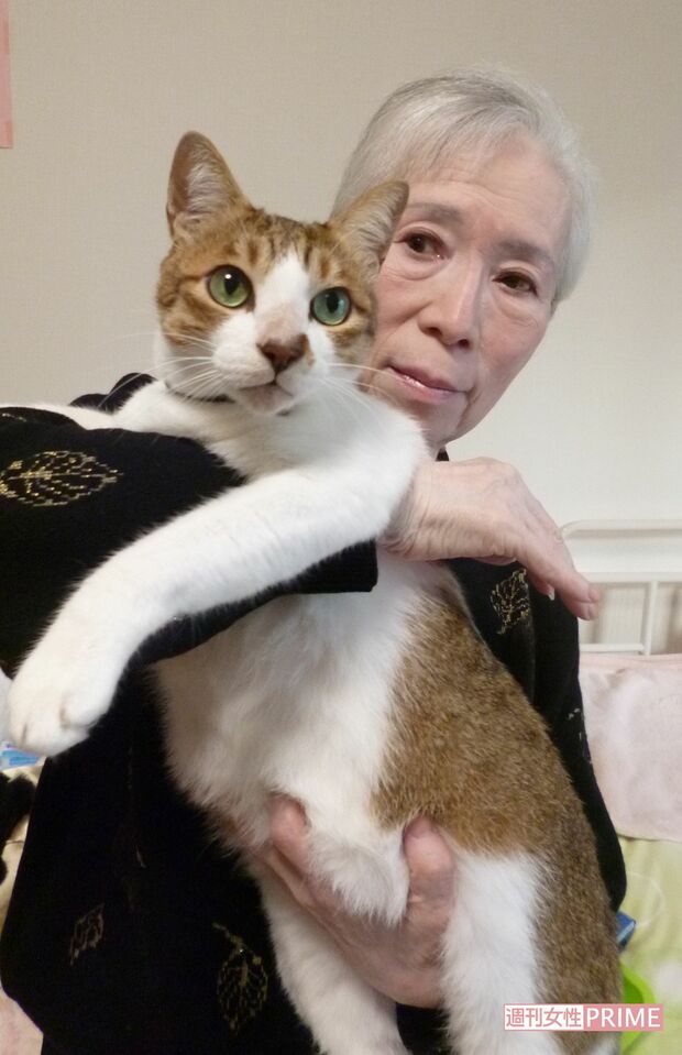 沢田さんと、愛猫の祐介。共にホームへ入居して7年、最期まで一緒に過ごすことができた